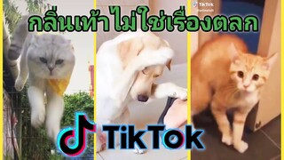 รวมคลิปสัตว์ฮาๆเด็ดๆ(ในแอปTikTok #5)[กลิ่นเท้าไม่ใช่เรื่องตลก]​