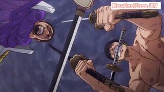 Zoro vs. Fujitora