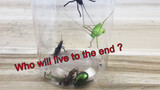 นำแมลงชนิดต่าง ๆ มาไว้ในขวดโหลเดียวกัน ตัวไหนจะอยู่จนถึงตอนสุดท้ายนะ 