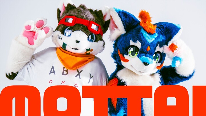 "MOTTAI" danced by RION & INUGAMI KENTA / リオンといぬがみ犬汰が『MOTTAI』を踊ってみた