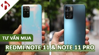 Giải đáp thắc mắc về Redmi Note 11 Pro & Redmi Note 11 | Khi nào có bản Chính Hãng?