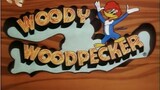 Woody Woodpecker Episode 195 The Genie with the Light Touch
