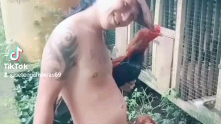 Burung❌️      Ayam✅️