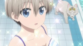 New anime in October: The senior is a veteran, and was disappointed not to see Uzaki’s swimsuit phot