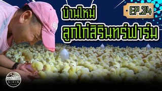 บ้านใหม่ลูกไก่สิรินทร์ฟาร์ม - [SIRINFARM]​ EP.34