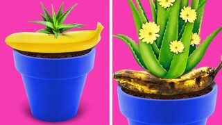 TRIK-TRIK TANAMAN PINTAR || DIY Tips Berkebun || Tanam Buah & Sayur di Rumah oleh 123 GO!