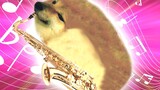 [For Fun] 🎷Cheems Of Saxophone🎷