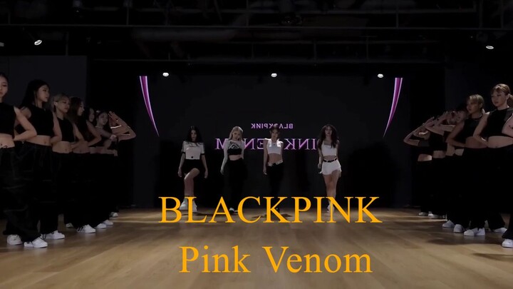 BLACKPINK  Pink Venom DANCE PRACTICE MIRRORED