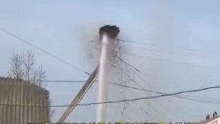 A crane built a nest on top of a power pole, but it was destroyed by a firefighter's high-pressure w