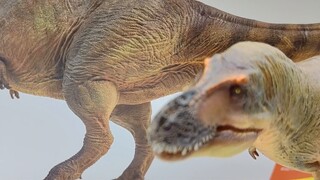 Ada juga Tyrannosaurus rex di negara kita? Cari tahu lebih lanjut tentang PNSO Zhucheng Tyrannosauru