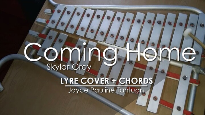 Coming Home - Skylar Grey - Lyre Cover