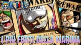 ONEPIECE - I membri della marina più forti