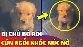 Chú chó nhỏ 'KHÓC NỨC NỞ' khi nghe Sen nói không thể nuôi mình được nữa 😅 Gâu Đần