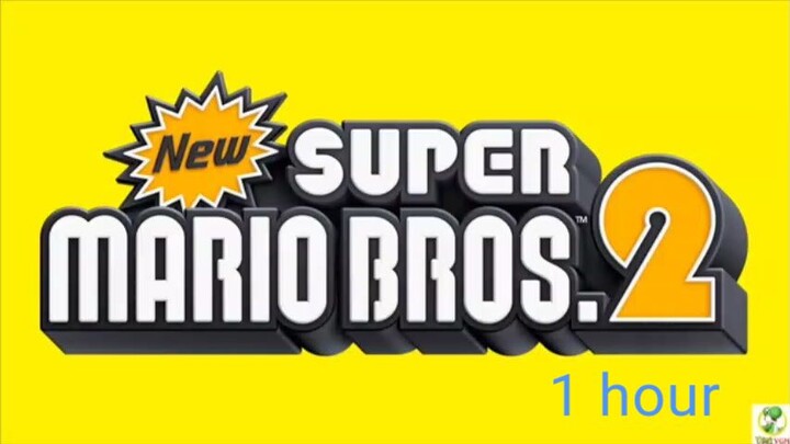 New super mario bros 2 flower world 1 hour