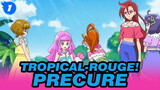 Tropical-Rouge! Precure EP7 Mashup_1