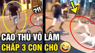 Bị chó 'BAO VÂY', thanh niên thi triển võ công 'ĐẢ CẨU QUYỀN' ai thấy cũng bật cười | Tin 3 Phút Hài