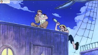 Trái ác quỷ phân tách... |#one_piece #vua_hai_tac