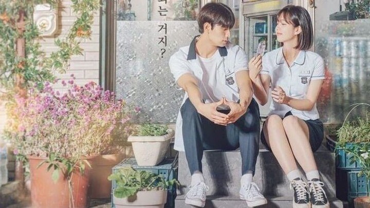 Movie Nineteen otters || KBS DRAMA KOREA 2022