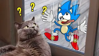 Sonic's Outside !! Sonic Trolls Cat Funny Moments | Funniest Cats And Dogs Videos - Woa Doodland