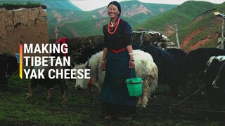 The Dying Art of Making Tibetan Cheese