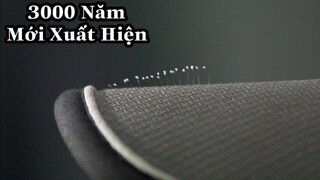 Nghi Vấn Về Loài Hoa 3000 Năm Mới Nở Một Lần