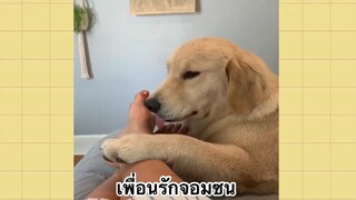 เพื่อนตัวน้อยแสนซน : เพื่อนรักจอมซน