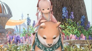 【ff14】有柴了，已经和没柴的人不是一个境界了