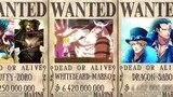 One Piece Characters Captains and First Mate Bounty