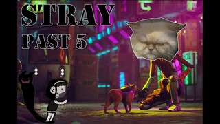 Stray[modภาษาไทย]Past5 แมวหลง ลุยเมืองกับmission impossible