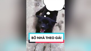 ĐI CHƠI SUỐT ĐÊM || VỀ NHÀ CÒN THÁCH THỨC TÔI AE Ạ.🤪🤪🤪   xuhuong fypシ thucung dog luxkylux luxkyluxtiktok