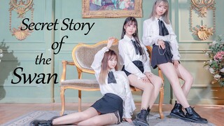 【米×果×迪】点击pick仙女！IZ*ONE🤍幻想童话