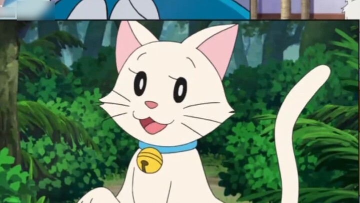 Doraemon làm điều này mỗi ngày!