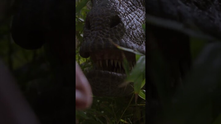 Muldoon's Iconic "Clever Girl" Line #shorts #JurassicPark