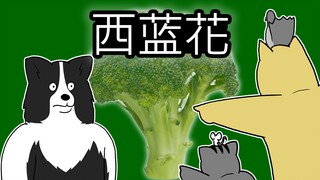 [禽兽朋友们] 西蓝花