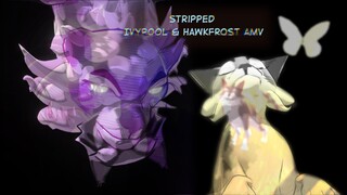 Ivypool and Hawkfrost | Stripped (3D Warriors AMV)