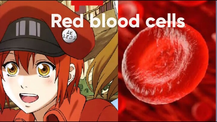 Cells at work.Anime vs Real life characters . Part 1 (Medical anime)
