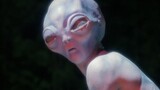 In episode 20 of the third season of "X-Files", the couple was kidnapped by aliens and met an alien 