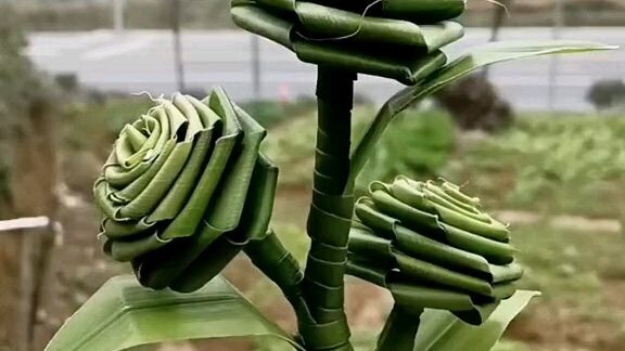 flower palm