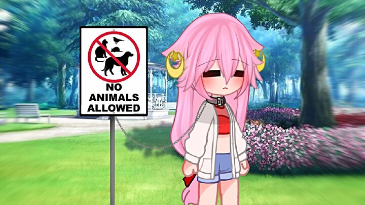 No Animals Allowed 🦊 [] Gacha Meme [] EiMiko [] Genshin Impact modern au