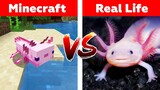 MINECRAFT AXOLOTL IN REAL LIFE! Minecraft vs Real Life animation
