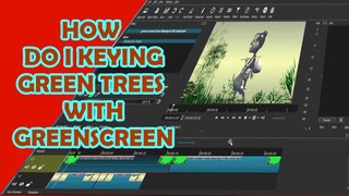 HOW  DO  I  KEYING GREEN TREES WITH GREENSCREEN-Software shotcut and movavi video editor