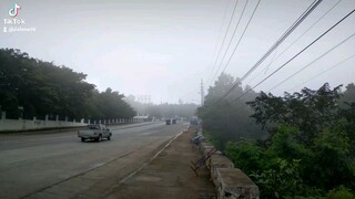 nature lover