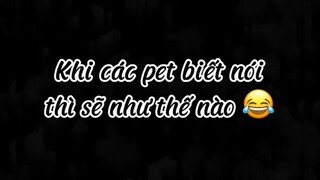 Góc giải trí_Khi các pet biết nói thì sẽ như thế nào 😂