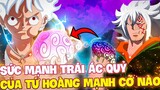 TRÁI NIKA CỦA LUFFY LÀ MẠNH NHẤT?! | TRÁI ÁC QUỶ CỦA CÁC TỨ HOÀNG ONE PIECE KHỦNG KHIẾP CỠ NÀO?!