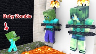 MONSTER SCHOOL : PRO BABY ZOMBIE - MINECRAFT ANIMATION