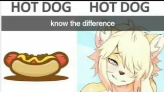 What's the Difference? || r/YIFFINHELL