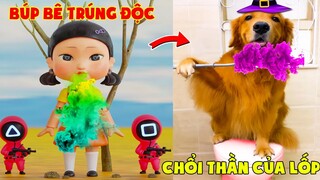 Thú Cưng Vlog | Lốp Đu Bai Và Bố #2 | Chó thông minh vui nhộn | Cute smart dog pets