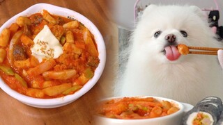 Binatang|Membuatkan Tteok-bokki untuk Anak Anjing