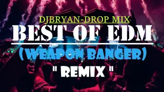BEST OF EDM | DJ BRYAN - DROP MIX ( WEAPON BANGER REMIX )