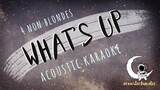 WHAT'S UP 4 Non Blondes (acoustic karaoke)
